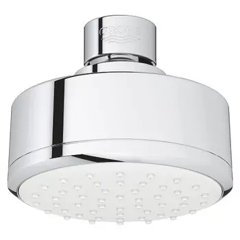 Верхний душ Grohe New Tempesta Cosmopolitan 100 26366001