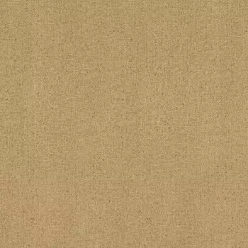 Виниловые обои на флизелиновой основе Rasch Globe 939118