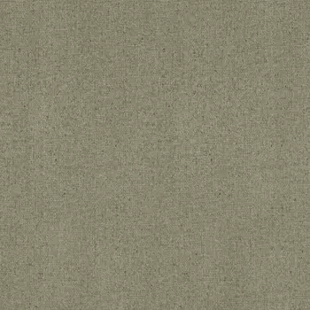 Виниловые обои на флизелиновой основе Rasch Globe 939125