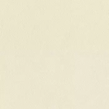 Виниловые обои на флизелиновой основе Rasch Harmony 943870