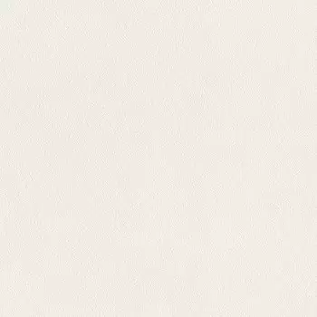 Виниловые обои на флизелиновой основе Rasch Harmony 943856