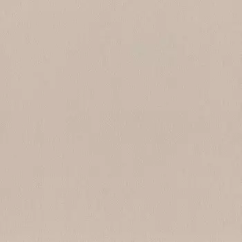 Виниловые обои на флизелиновой основе Rasch Harmony 948745