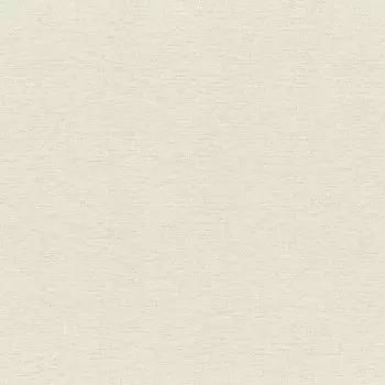 Виниловые обои на флизелиновой основе Rasch Maximum XIV 949827