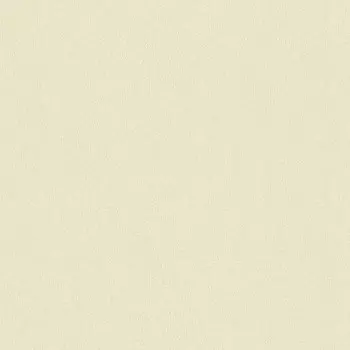 Виниловые обои на флизелиновой основе Rasch Maximum XIV 949919