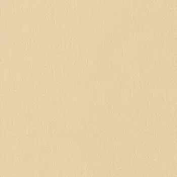 Виниловые обои на флизелиновой основе Rasch Maximum XIV 806021