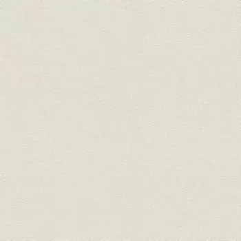 Виниловые обои на флизелиновой основе Rasch Maximum XIII 936605