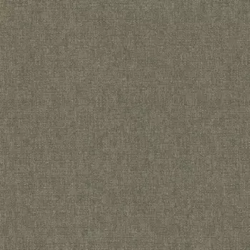 Виниловые обои на флизелиновой основе Rasch Maximum XIII 936643