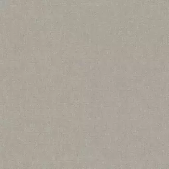 Виниловые обои на флизелиновой основе Rasch Maximum XIII 936612