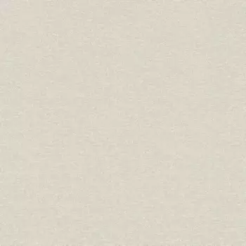 Виниловые обои на флизелиновой основе Rasch Maximum XIII 936223