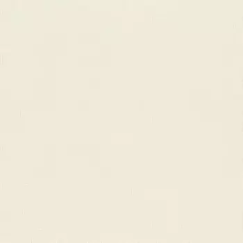 Виниловые обои на флизелиновой основе Rasch Maximum XV 959505