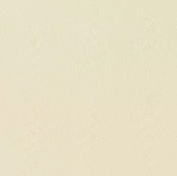 Виниловые обои на флизелиновой основе Rasch Maximum XIV 806007
