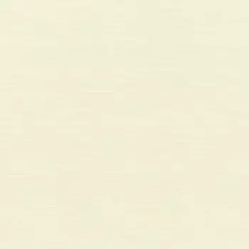 Виниловые обои на флизелиновой основе Rasch Maximum XV 959307
