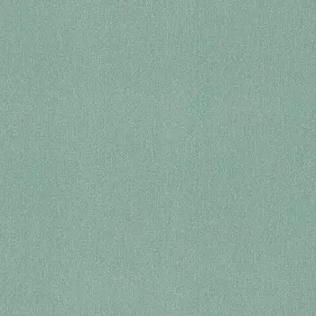 Виниловые обои на флизелиновой основе Rasch New Wave III 806038
