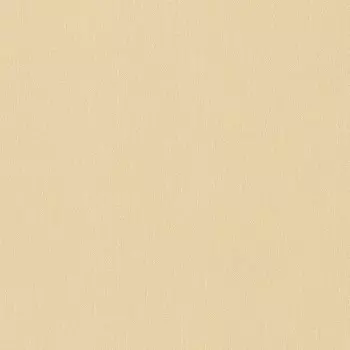 Виниловые обои на флизелиновой основе Rasch New Wave III 806021