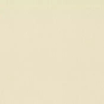 Виниловые обои на флизелиновой основе Rasch New Wave III 806007