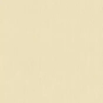 Виниловые обои на флизелиновой основе Rasch New Wave III 805819