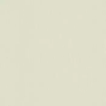 Виниловые обои на флизелиновой основе Rasch New Wave III 805826