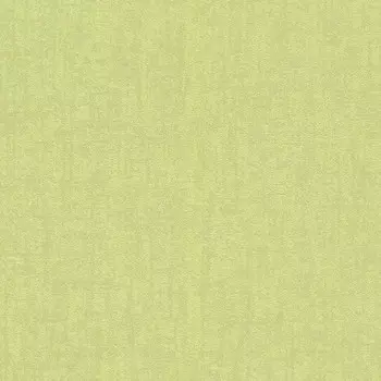 Виниловые обои на флизелиновой основе Rasch Sightseeing 899078