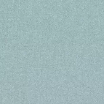 Виниловые обои на флизелиновой основе Rasch Sightseeing 899108