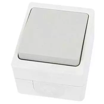 Выключатель 1-клавишный, открытой установки, IP54 10А "Вуокса" TDM