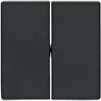 Выключатель Berker Q.1 двухклавишный проходной вкл/выкл с 2-х мест 10 А / 250 В~ антрацит