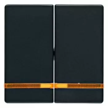 Выключатель Berker Q.3 двухклавишный с подсветкой 10 А / 250 В~ антрацит