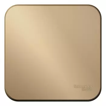 Выключатель накладной Schneider Electric Blanca BLNVA101014 одноклавишный с изолирующей пластиной титан