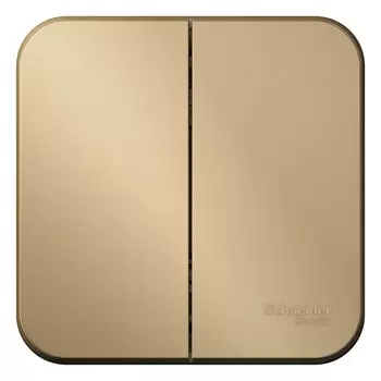 Выключатель накладной Schneider Electric Blanca BLNVA105014 двухклавишный с изолирующей пластиной титан
