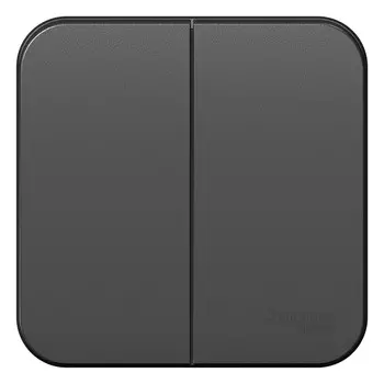 Выключатель накладной Schneider Electric Blanca BLNVA105016 двухклавишный с изолирующей пластиной антрацит