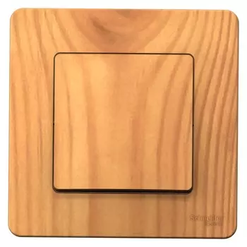 Выключатель накладной Schneider Electric Blanca BLNVS010105 одноклавишный ясень