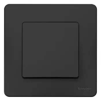Выключатель накладной Schneider Electric Blanca BLNVS010106 одноклавишный антрацит