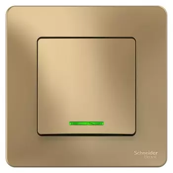 Выключатель накладной Schneider Electric Blanca BLNVS010114 одноклавишный с индикатором титан
