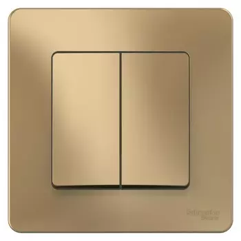 Выключатель накладной Schneider Electric Blanca BLNVS010504 двухклавишный титан