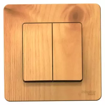 Выключатель накладной Schneider Electric Blanca BLNVS010505 двухклавишный ясень