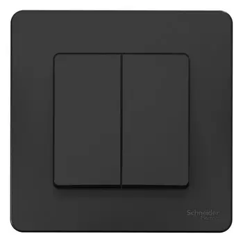 Выключатель накладной Schneider Electric Blanca BLNVS010506 двухклавишный антрацит