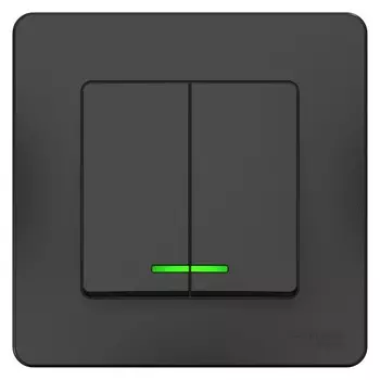Выключатель накладной Schneider Electric Blanca BLNVS010516 двухклавишный с индикатором антрацит