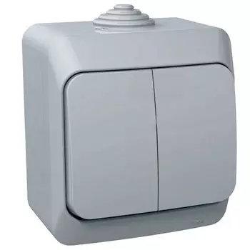 Выключатель накладной Schneider Electric Этюд BA10-042C IP44 двухклавишный серый