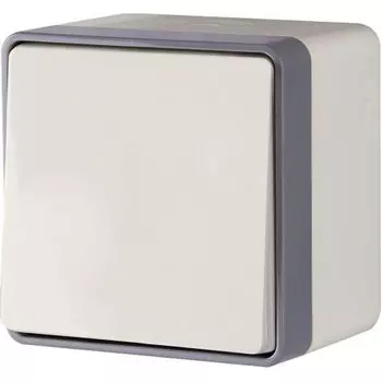 Выключатель накладной Werkel Gallant WL15-01-02 одноклавишный влагозащищенный слоновая кость