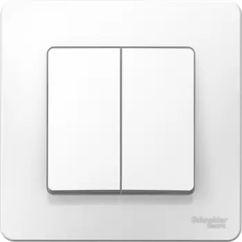 Выключатель встраиваемый двухклавишный Schneider Electric Blanca BLNVS006501 белый
