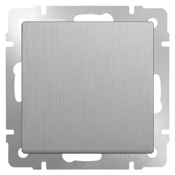 Выключатель встраиваемый Werkel WL09-SW-1G одноклавишный cеребряный рифленый