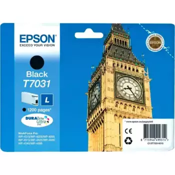 Картридж для струйного принтера EPSON T7031 Black (C13T70314010)
