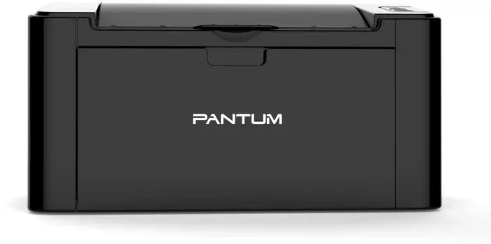 Принтер лазерный PANTUM P2207 (P2207)