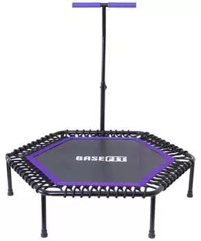 Батут Basefit TR-401 101 см с держателем