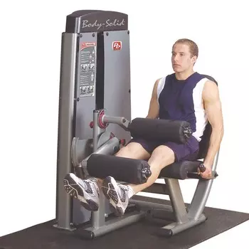 Двухпозиционный тренажер сгибание-разгибание ног сидя Body-Solid DLEC-SF