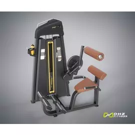 Пресс машина/Разгибание спины DHZ Abdominal/Back extension Стек 94 кг E-1074B