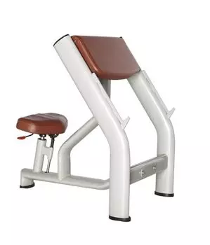 Скамья Скотта BRONZE GYM H-040A