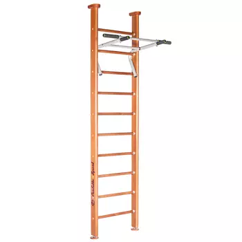 Спортивный комплекс Perfetto Sport Salute PS-101