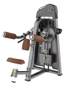 Дельт-машина DHZ Lateral Raise Стек 56 кг E-1005В