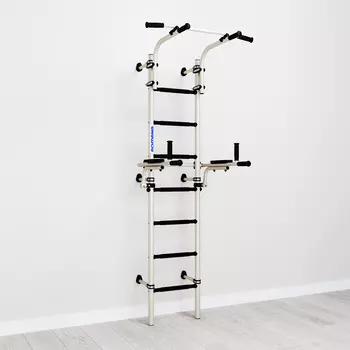 Домашний спортивный комплекс "Romana S10" белый антик/золото