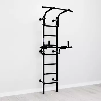 Домашний спортивный комплекс "Romana S10" чёрный матовый